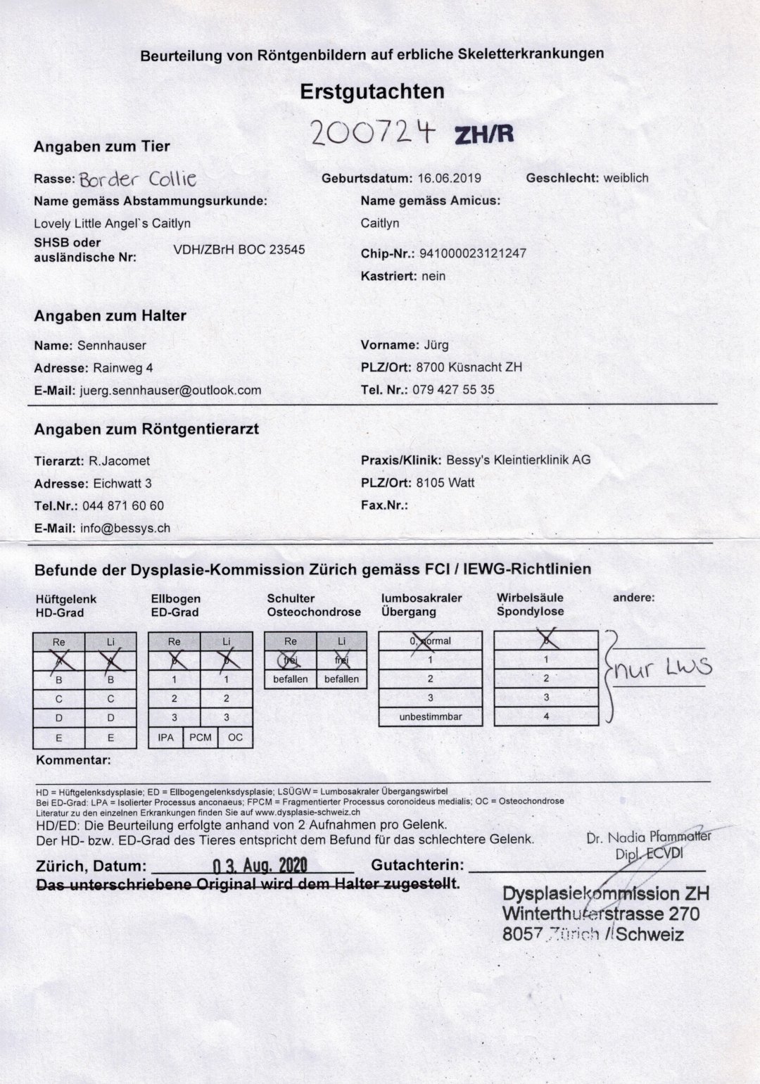 ZZP Formbewertung SKG